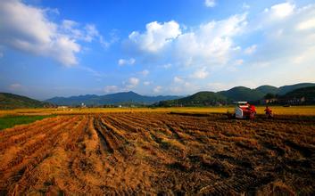 農(nóng)村土地制度改革試點意見出臺