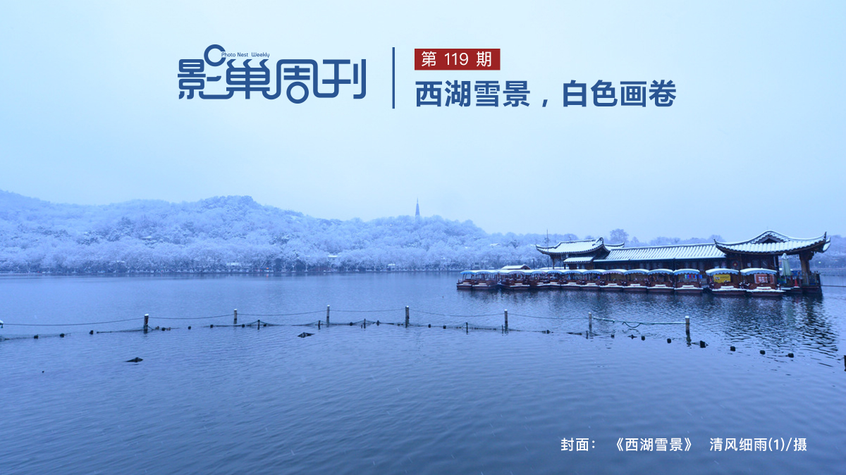 【影巢周刊】西湖雪景，白色畫卷