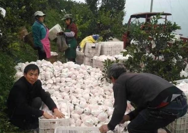 “小眾”旅游悄熱漓水人家