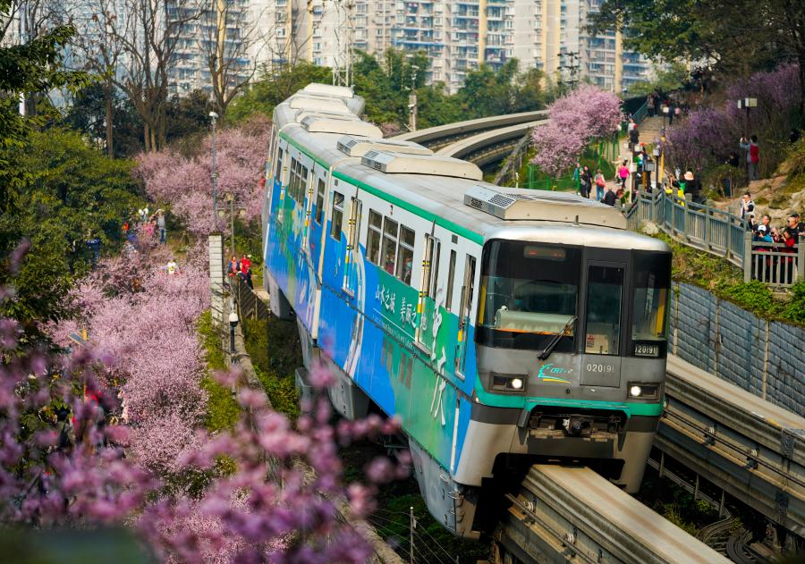 重慶：一路繁花相送 帶你駛向春天