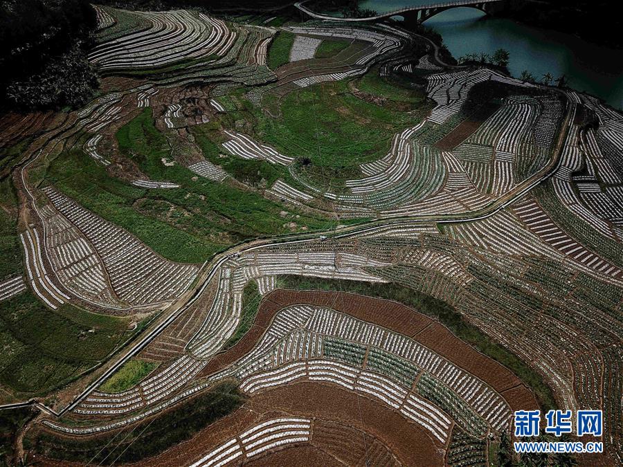 （春季美麗生態(tài)）（11）飛閱邊關山田春景