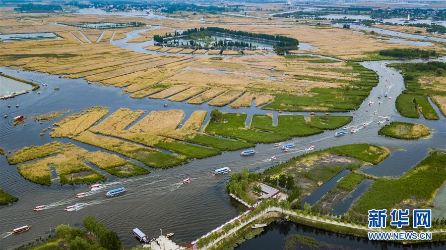 （壯闊東方潮 奮進(jìn)新時(shí)代——慶祝改革開放40年）（11）美麗中華大地書寫綠色傳奇