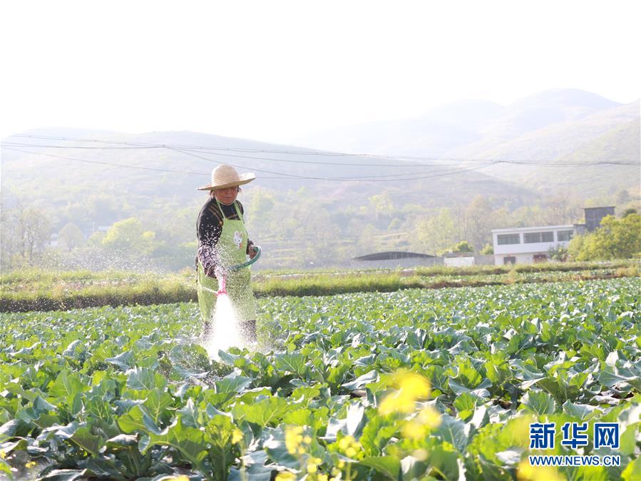 （決戰(zhàn)決勝脫貧攻堅(jiān)·圖文互動(dòng)）（3）逐項(xiàng)逐戶排查補(bǔ)齊脫貧攻堅(jiān)“短板”——貴州晴隆縣扶貧一線工作見聞 