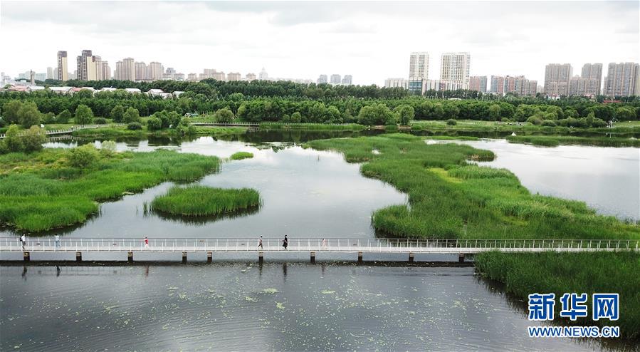 （走向我們的小康生活·圖文互動(dòng)）（1）水清、地綠、空氣新——最北省份黑龍江繪就生態(tài)治理新畫卷