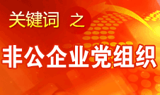 王京清：非公企業(yè)建立黨組織服務(wù)企業(yè)發(fā)展、服務(wù)員工