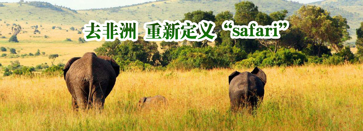 【新華微視評(píng)】去非洲 重新定義“safari”