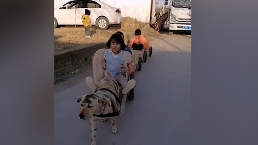 男子給孩子做縮小版小火車，家里的狗狗做動力拉著孩子上學